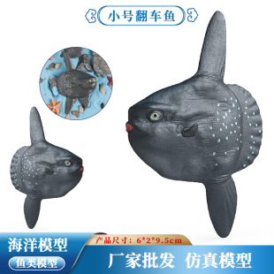 跨境海洋动物模型仿真实心翻车鱼月亮鱼翻车鲀儿童科教玩具摆件