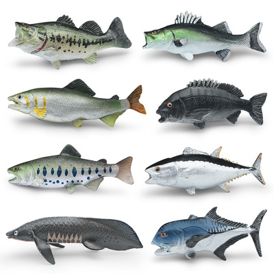 仿真金枪鱼真鲷鱼牛港鲹鲈鱼大马哈鱼三文鱼模型海洋鱼类动物摆件