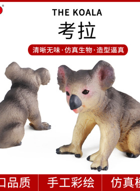 儿童科教仿真野生动物模型玩具小考拉无尾熊可拉熊树懒熊家居摆件