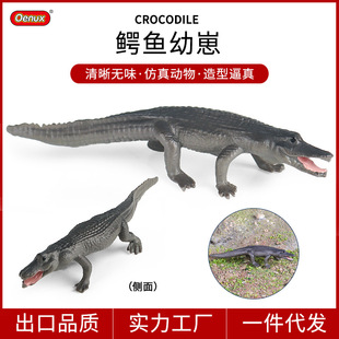 儿童仿真认知实心小号鳄鱼幼崽模型尼罗鳄帝鳄扬子鳄野猪鳄玩具