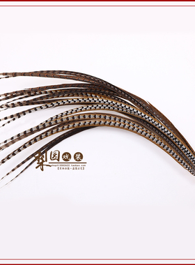 豫剧越剧京剧戏曲翎子武生武旦翎毛花翎古装舞蹈戏剧鸡尾翎毛鸡林