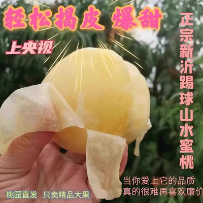 新沂水蜜桃新鲜白凤应季时令桃子