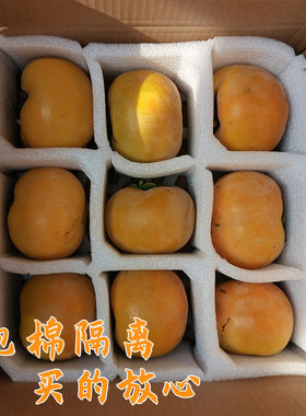 正宗太秋脆柿中秋礼盒