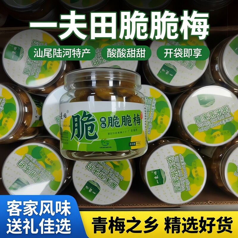 汕尾陆河特产一夫田脆脆梅青梅丝酸酸甜甜梅零食梅果礼盒装