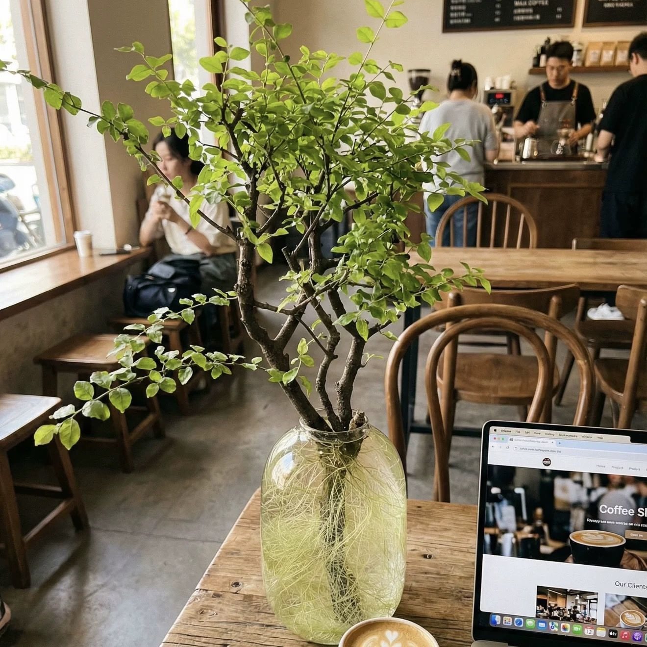 小叶女贞水培好养绿植丁香四季可养室内办公室桌面懒人植物造型树