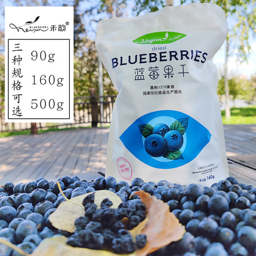 通化禾韵蓝莓干蓝莓果干长白山儿童零食休闲特色小吃（蜜饯类）
