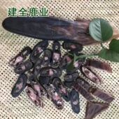 吉林梅花鹿尾巴干精梅花鹿尾巴7元 每克30克起切片20克煲汤泡酒