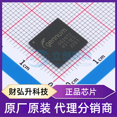 全新原装 GS2972-IBTE3 封装 BGA-100(11x11) 视频接口芯片