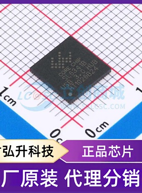 原装正品 SL6341B 封装QFN-80-EP(8x8) USB集线器