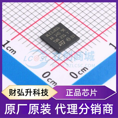 全新原装 STM32WLE5J8I6 封装 UFBGA-73 单片机(MCU/MPU/SOC)