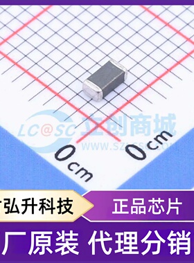 原装正品 RL1206A390K 封装1206 压敏电阻