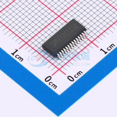 原装正品 TM2313-SSOP28 封装SSOP-28 音频接口芯片