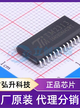 全新原装 TM2313 封装 SOIC-28-300mil 音频接口芯片