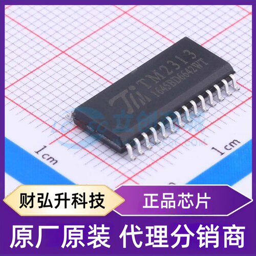 全新原装 TM2313 封装 SOIC-28-300mil 音频接口芯片