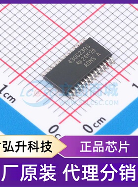 原装正品 MSP430G2303IPW28R 封装TSSOP-28 单片机(MCU/MPU/SOC)