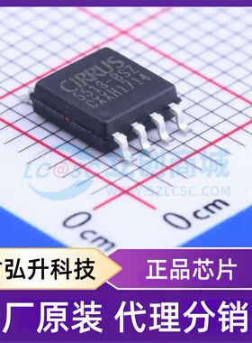 原装正品 CS5513-BSZ 封装SOIC-8-208mil 模数转换芯片ADC