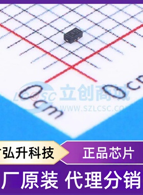 全新原装 RCLAMP0531T.TCT 封装 SLP1006-2 静电和浪涌保护(TVS/E