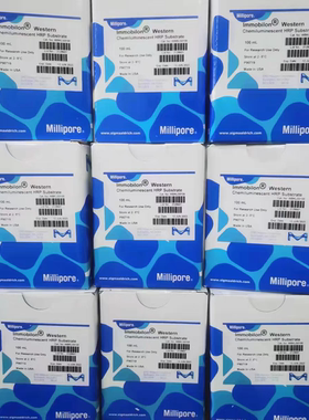 密理博millipore ECL发光液 100ml 500ml WBKLS0100 WBKLS0500