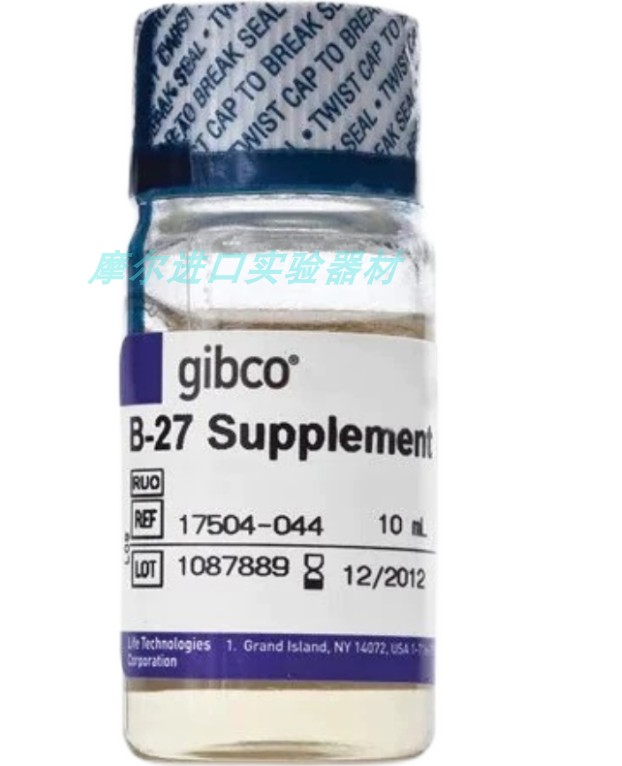 赛默飞 gibco 17504044 b27无血清添加剂培养基 10ml 17504-044