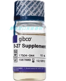 17504 赛默飞 044 10ml B27无血清添加剂培养基 GIBCO 17504044