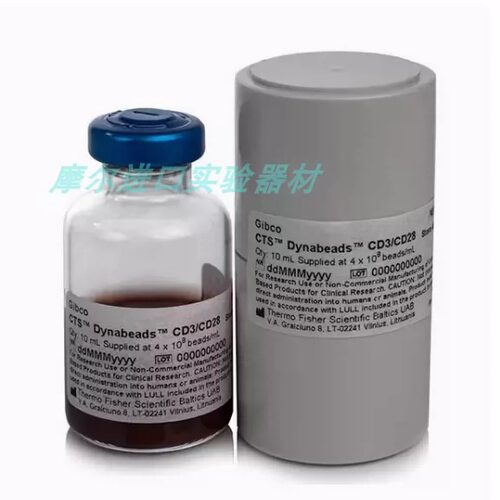 40203D细胞活化扩增磁珠GibcoT