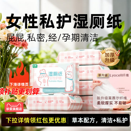 女性私护湿厕纸【加厚大包】
