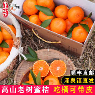 台州正宗临海涌泉蜜桔新鲜水果无核10斤装蜜橘宫川包邮礼品盒