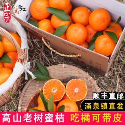 台州正宗临海涌泉蜜桔新鲜水果无核10斤装蜜橘宫川包邮礼品盒