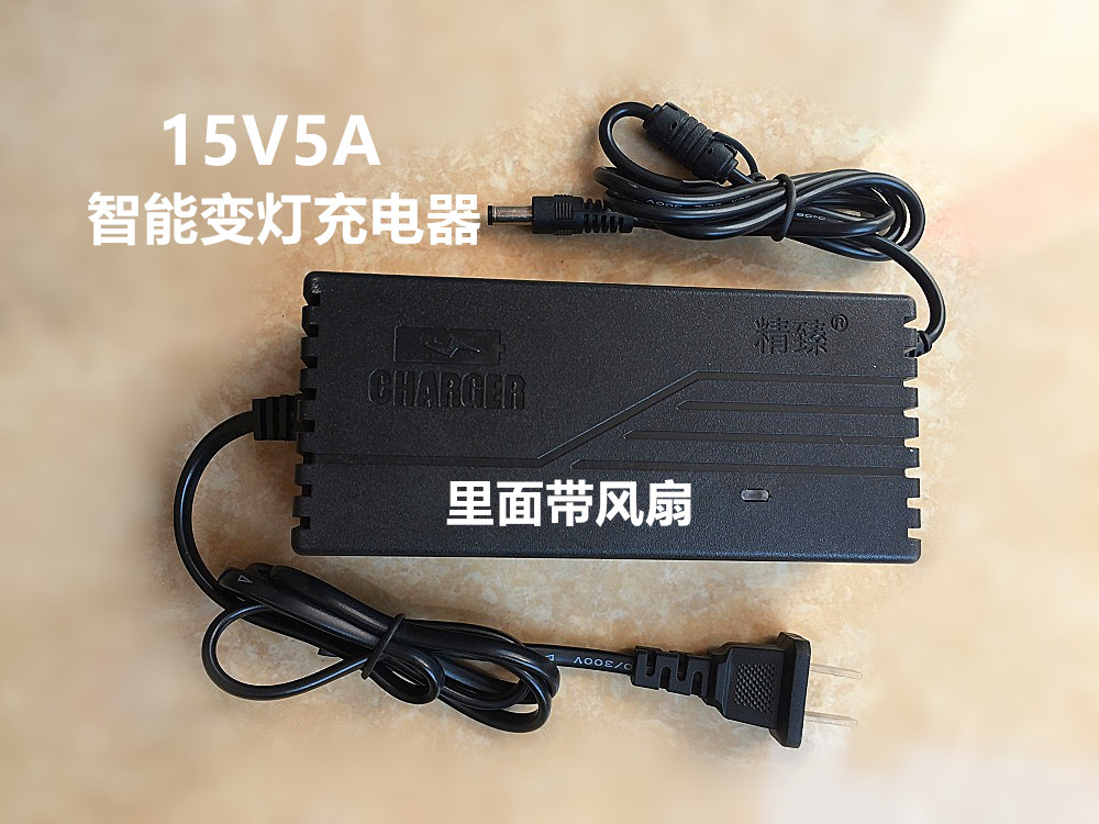 包邮12V蓄电池15V2A5A10A按摩枕电源家用适配器变压器智能充电器