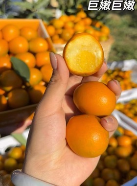 【顺丰快递礼盒】正宗广西融安脆蜜金柑第三代金桔应季水果新鲜