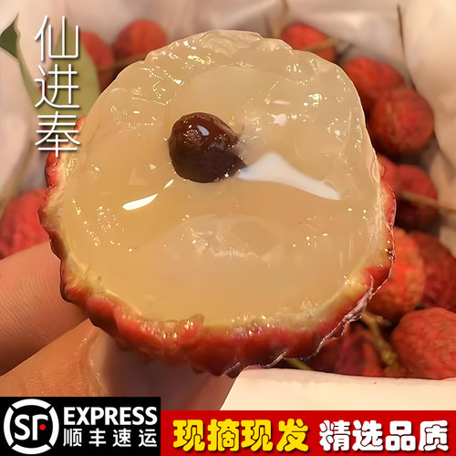 广西新鲜荔枝观音绿现摘现发冰荔味糯米糍不泡冰水顺丰