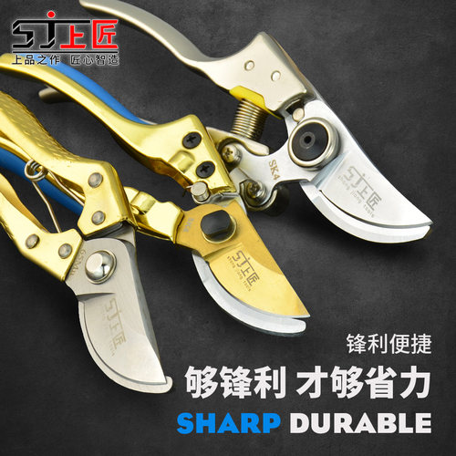 上匠工具园艺剪果枝剪园丁剪绣花剪刀修枝剪刀剪枝剪树枝剪厨房剪