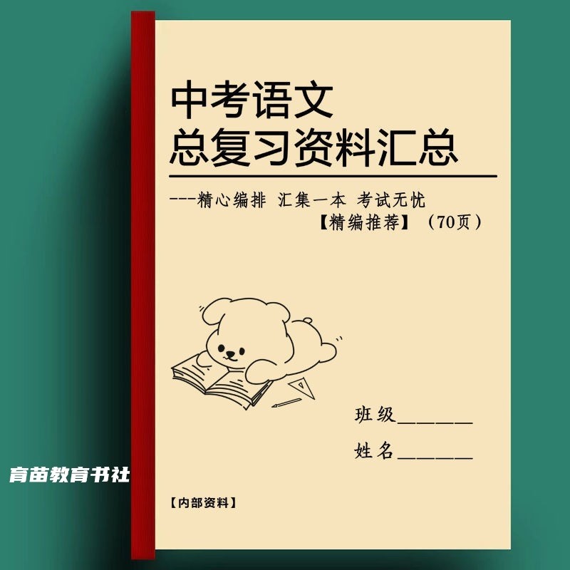 初中语文总复习常考归纳汇总基础知识点总结中考易错点整理练习本