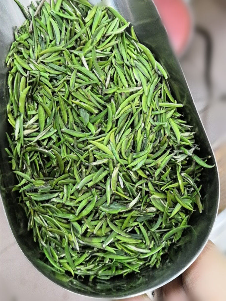 恩施贡芽新茶湖北恩施富硒特级恩施贡芽500克580元玉露茶蒸青绿茶