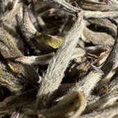 小陈推荐 福鼎白茶2019年老白毫银针 毫香蜜韵甜润核心产区磻溪镇