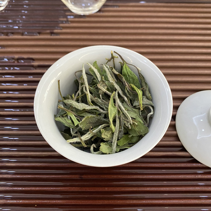陈孝金磻溪2023年春二级白牡丹散茶正宗福鼎白茶花香清甜宜品宜藏