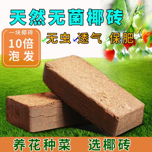 种菜基质通用型低盐多肉营养土