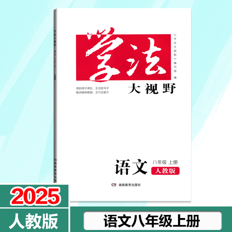 2025课时巩固综合训练素养提升