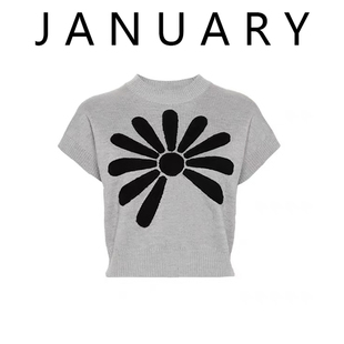 JANUARY 2025新款复古花朵针织短袖女夏季圆领套头毛衣上衣