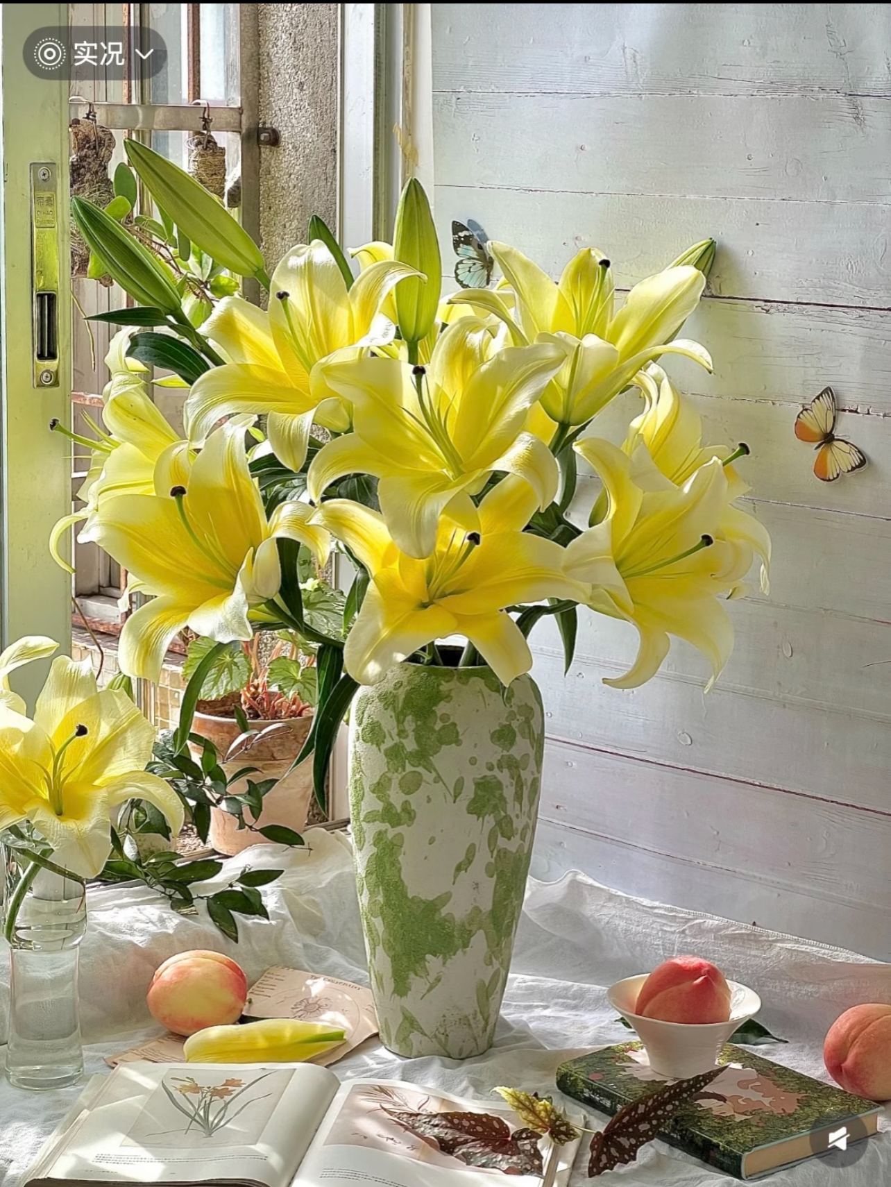 【黄天霸】爆香型香水百合鲜花云南昆明基地直发水养插花