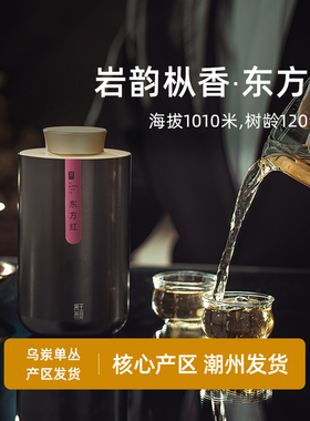 凤凰单枞特级宋种东方红 潮州单丛茶乌龙茶蜜香高山茶叶礼盒装80g