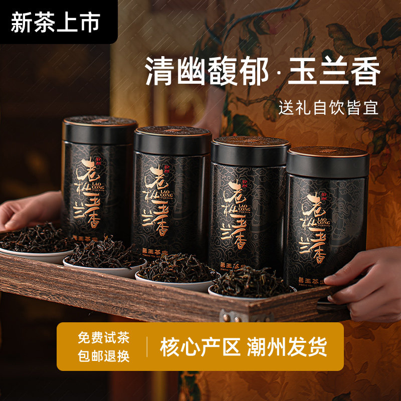 潮州凤凰单丛茶凤凰玉兰香