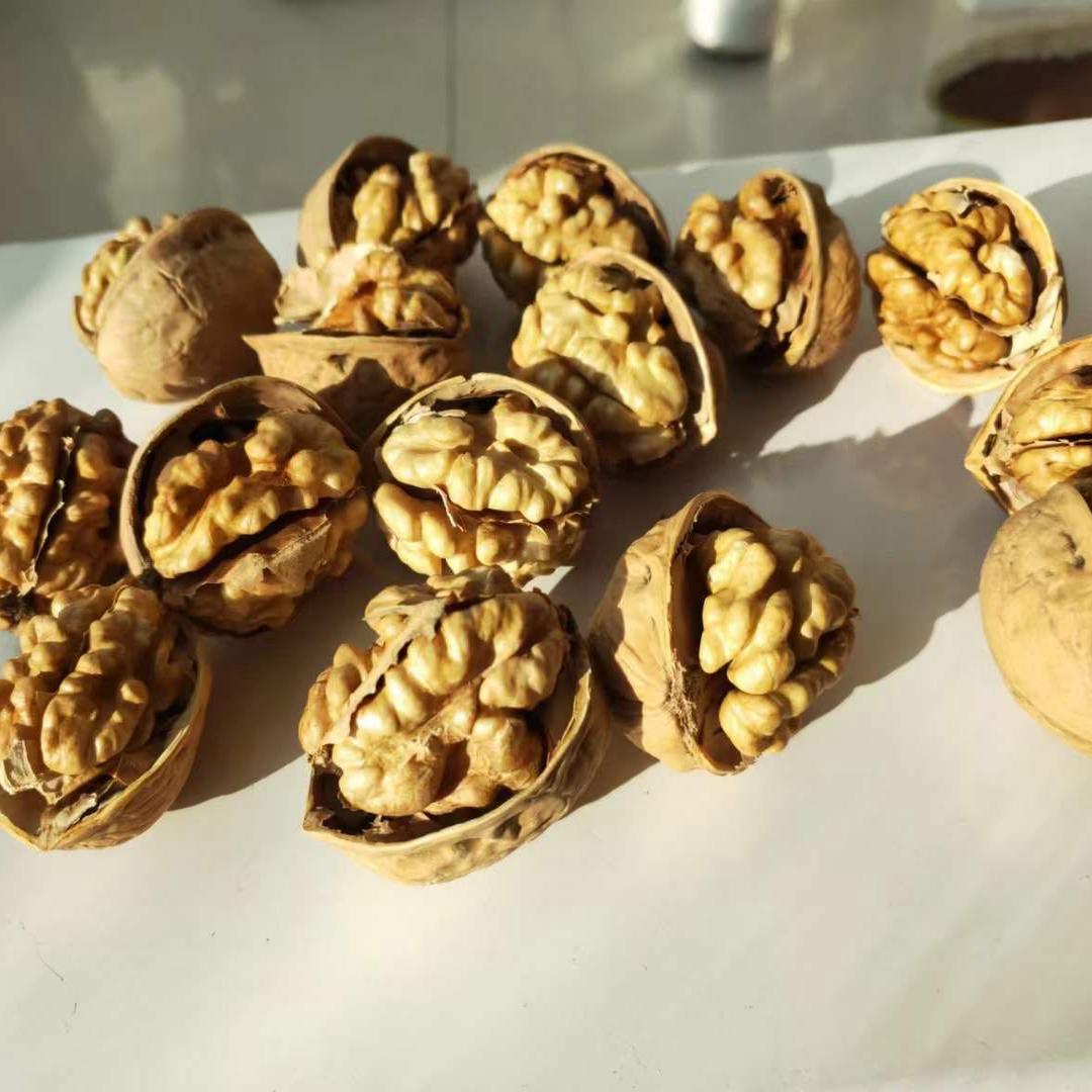 新疆直发阿克苏185纸皮核桃颗粒饱满坚果核桃