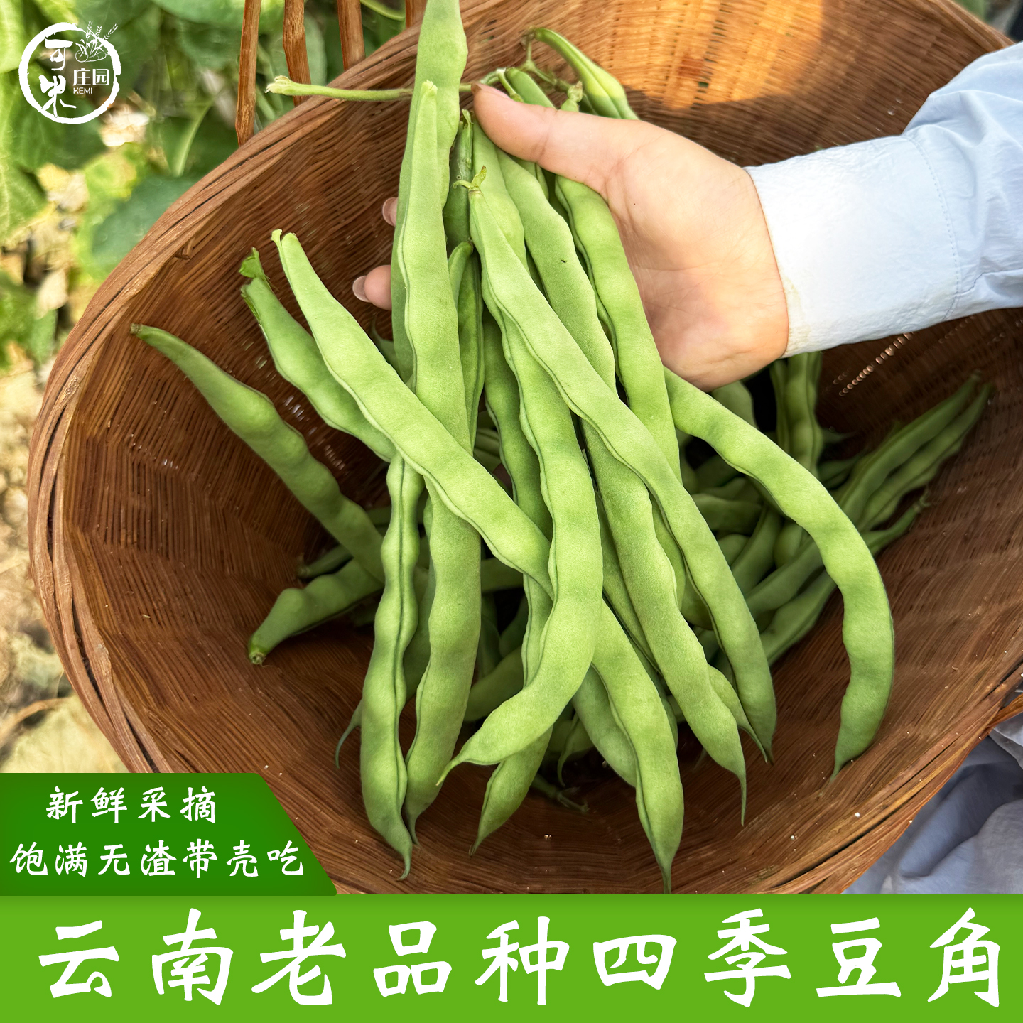 云南四季豆角芸豆长扁豆角新鲜蔬菜农家自种青扁豆豆米5斤包邮