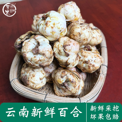云南新鲜现挖食用蔬菜非干货百合