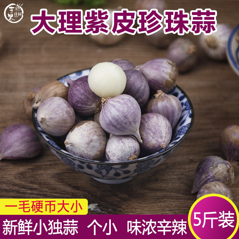 云南大理紫皮独头大蒜5斤独蒜头小个大蒜新鲜干蒜子珍珠大独蒜