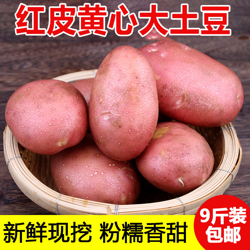 云南红皮黄心土豆马铃薯9斤图片