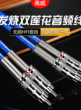 甬威2RCA红白双莲花梅花功放四头效果器音箱响音频线二对二连接线