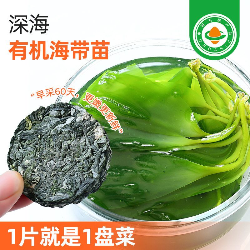 有机海带苗嫩芽海带丝鲜嫩真空