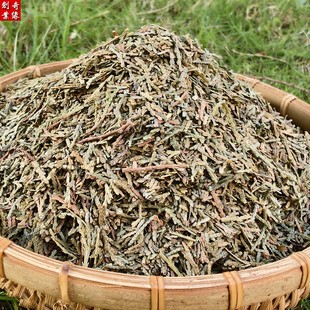 侧柏叶草本洗发原料特级新鲜干货野生侧柏叶中药材粉茶麸洗发500g
